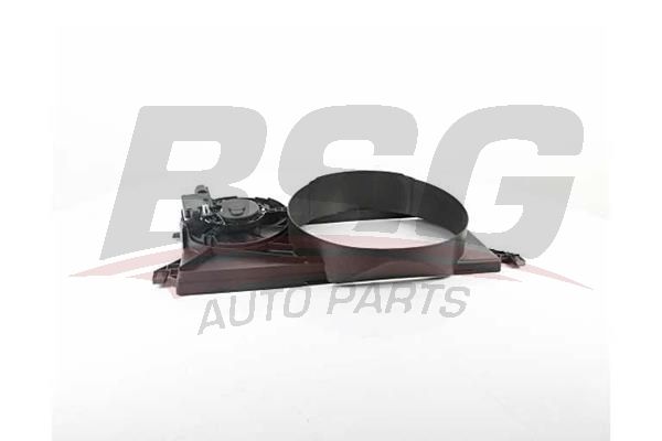 BSG 30510012 Fan Motoru