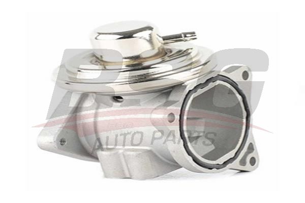 BSG 90836004 Egr Valfi