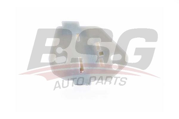 BSG 30966011 Cam Kriko Plastiği - . Görsel