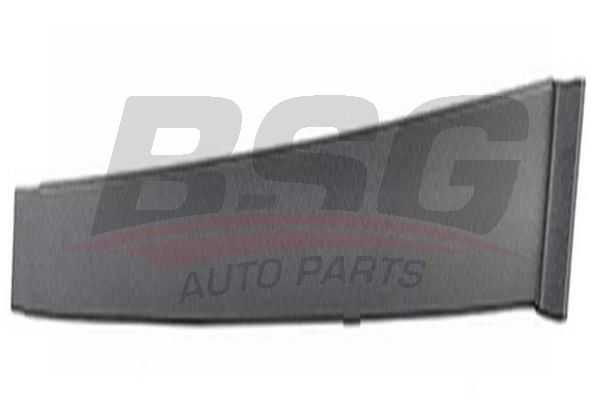 BSG 30925005 Kapı Direk Çıtası Ön Sağ