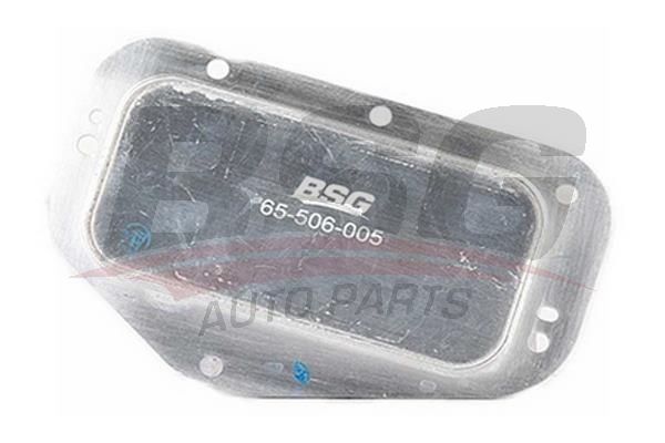 BSG 65506005 Yağ Soğutucusu