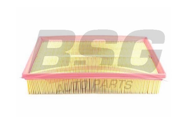 BSG 90135010 Hava Filtresi