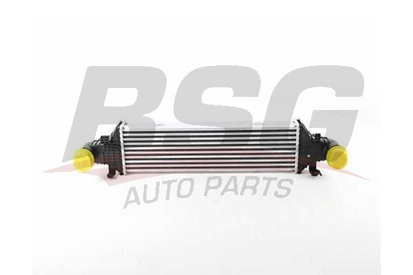 BSG 60535024 Turbo Radyatörü