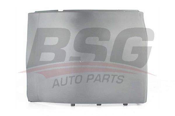 BSG 90920005 Arka Tampon Kösesı Sol