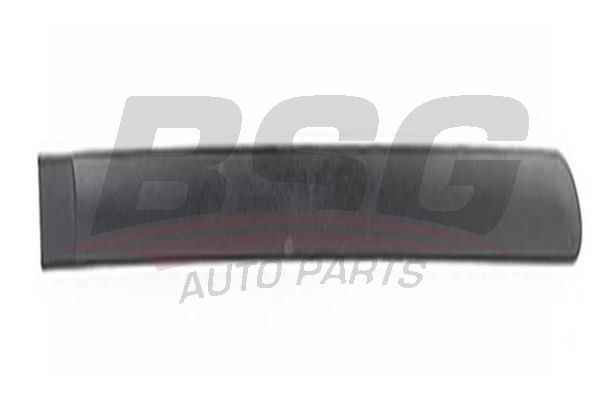 BSG 70924015 Kapı Bandı Arka Sağ