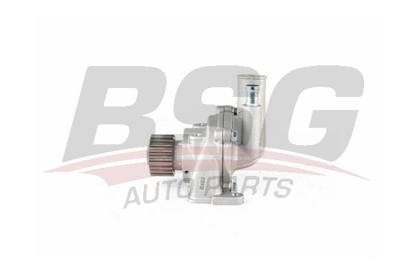 BSG 40500021 Devirdaim