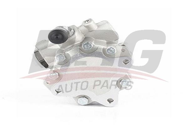 BSG 60355007 Direksiyon Pompası