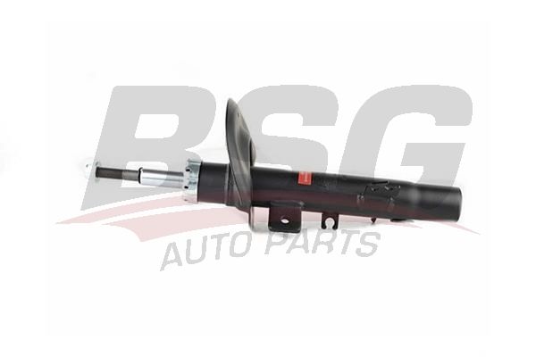 BSG 70300024 Amortisör Ön Sağ