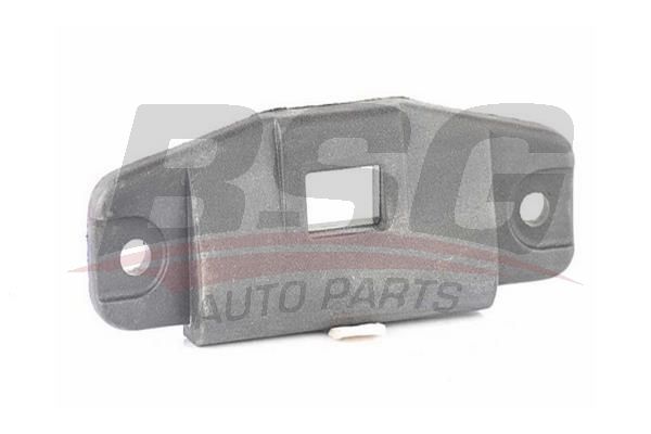 BSG 65922084 Bagaj Kilit Karşılık Plastiği