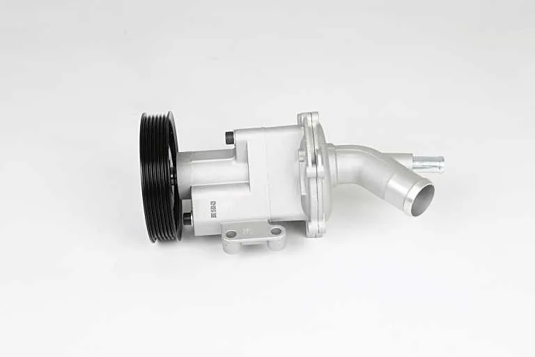 Devirdaim Su Pompası  BSG 15-500-028