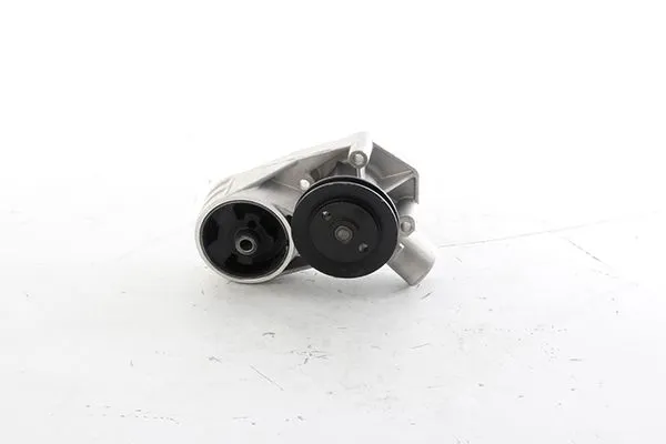 Devirdaim Su Pompası  BSG 80-500-001