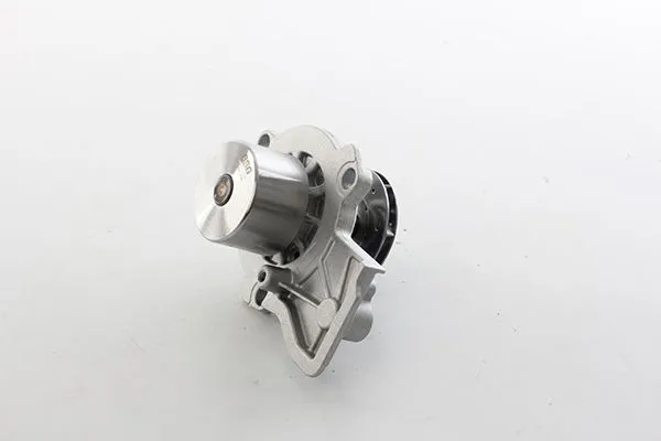 Devirdaim Su Pompası  BSG 90-500-038