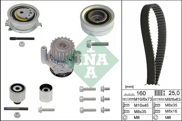 INA 530055032 Triger Seti