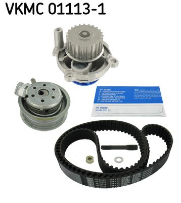 SKF 01113 1 Triger Seti
