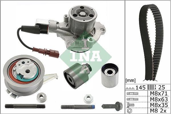 INA 530065030 Triger Seti