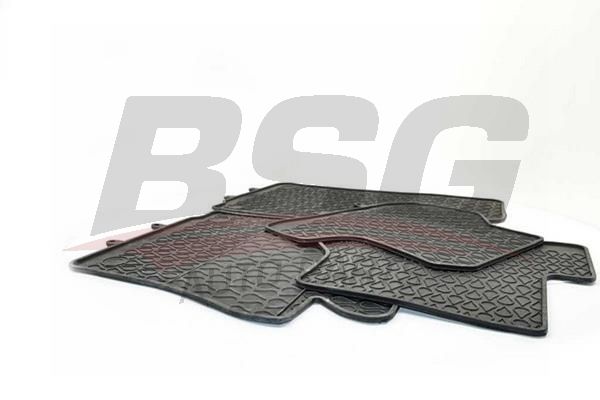 BSG 90934021 Paspas Takımı - . Görsel