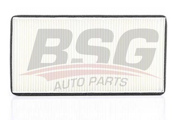 BSG 60145002 Polen Filtresi