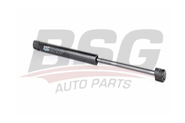 BSG 16980002 Bagaj Amortisörü