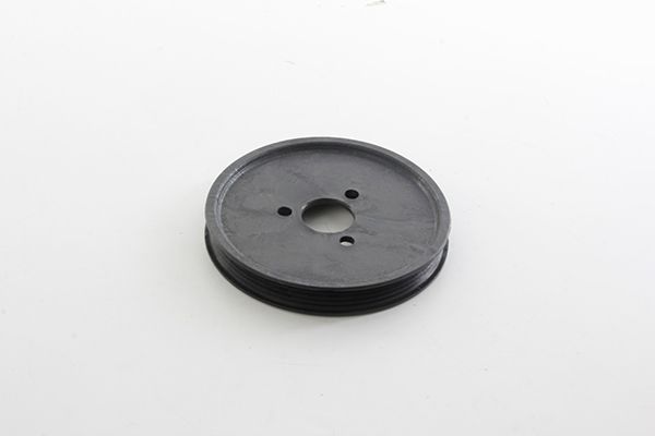 BSG 15371001 Direksiyon Pompa Kasnağı