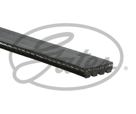 GATES 4PK643SF Direksiyon Pompa Kayışı - . Görsel