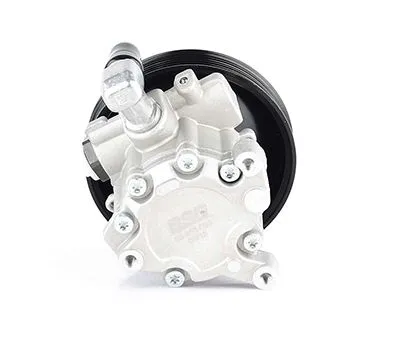 Direksiyon Pompası  BSG 60-355-008