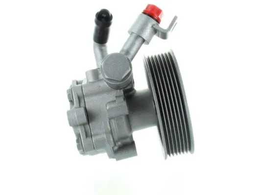 Direksiyon Pompası  BSG 63-355-003
