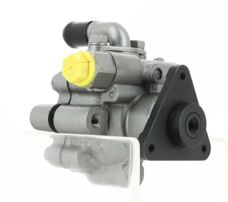 Direksiyon Pompası  BSG 75-355-007
