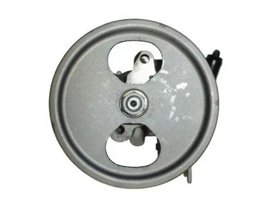 Direksiyon Pompası  BSG 83-355-002