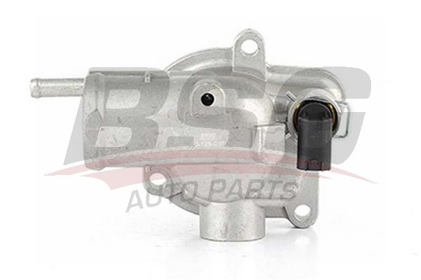 BSG 60125010 Termostat