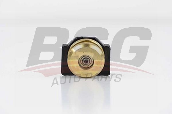 BSG 30975012 Orta Kapı Üst Makara