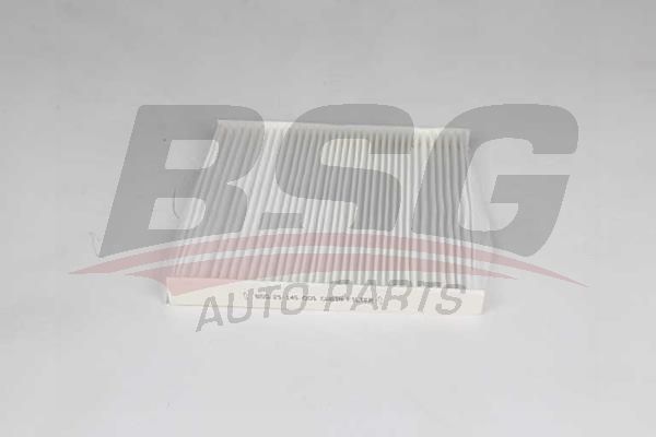BSG 25145005 Polen Filtresi - . Görsel