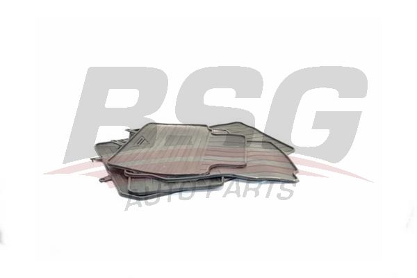 BSG 30934030 Paspas Takımı