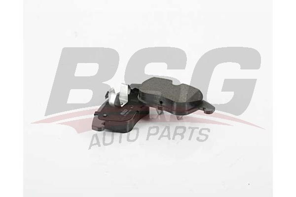 BSG 60109015 Eksantrik Zincir Gergi Seti