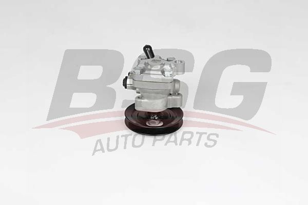 BSG 40355015 Direksiyon Pompası