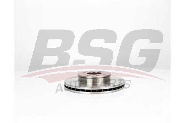 BSG 40210004 Fren Diski Ön