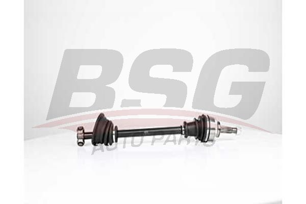 BSG 75350028 Aks Komple Ön Sol
