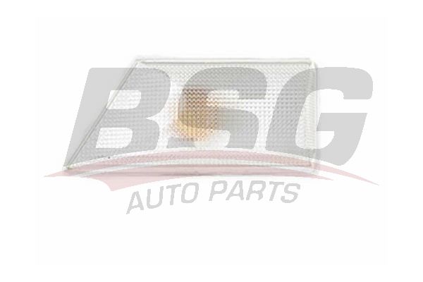 BSG 65810008 Çamurluk Sinyali Sağ - . Görsel
