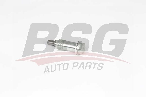 BSG 60109002 Eksantrik Zincir Gergisi