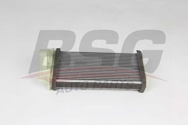 BSG 25530003 Kalorifer Radyatörü