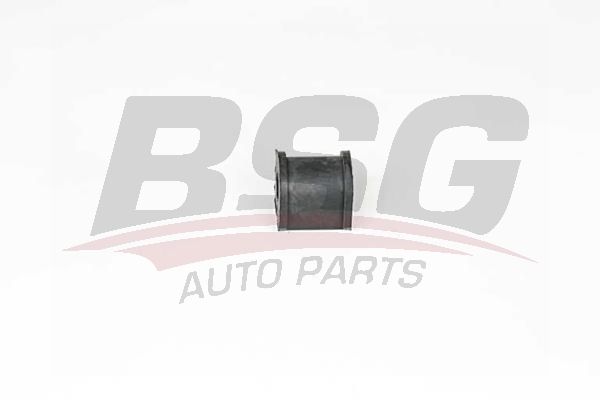 BSG 65700099 Viraj Demir Lastiği Arka