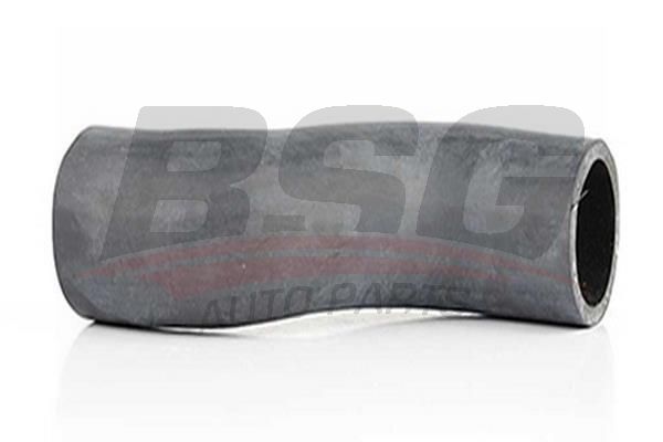 BSG 60720013 Intercooler Hortumu