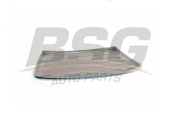 BSG 15935009 Bagaj Havuzu