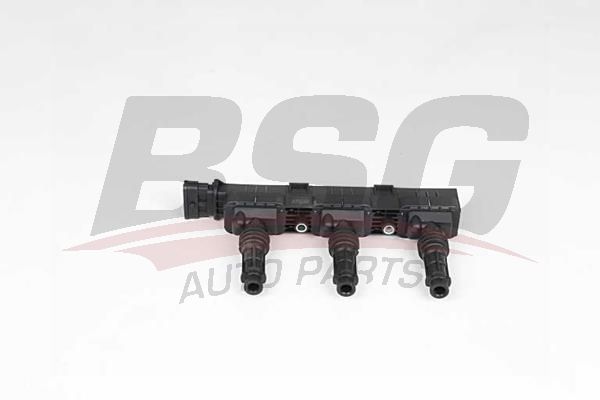 BSG 65835018 Ateşleme Bobini