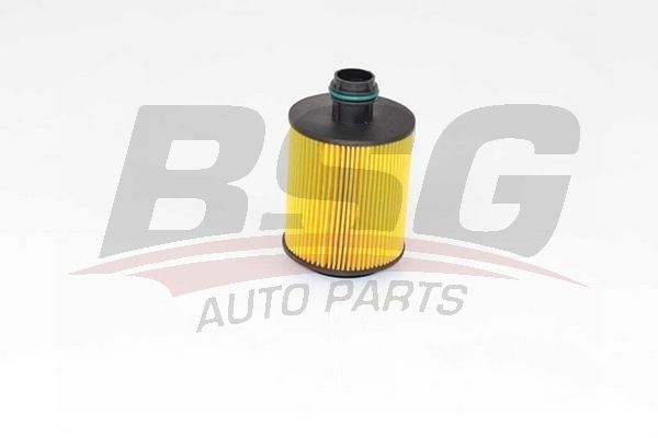 BSG 25140002 Yağ Filtresi