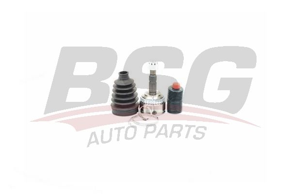 BSG 65340016 Aks Kafası Dış