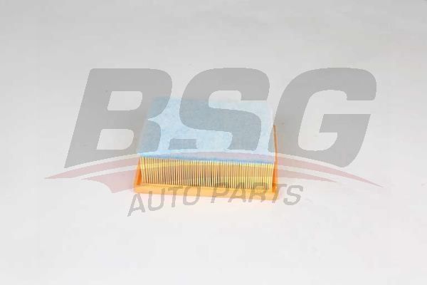 BSG 25135019 Hava Filtresi
