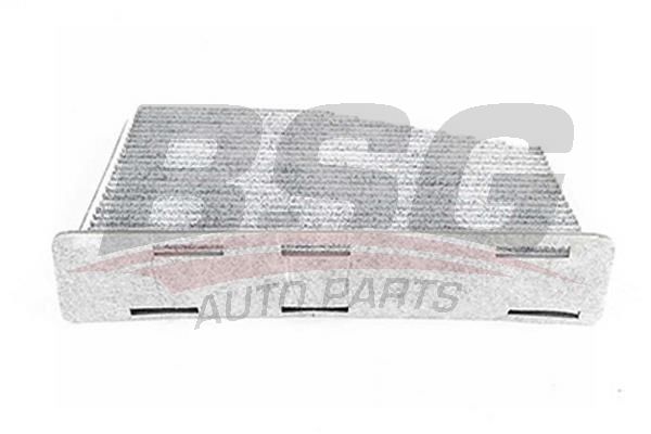 BSG 90145013 Polen Filtresi - 1. Görsel