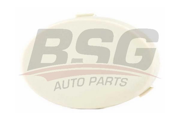 BSG 30922131 Çeki Demir Kapağı Ön