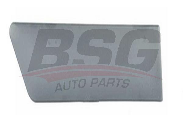 BSG 30926003 Çamurluk Kusağı Arka Sağ