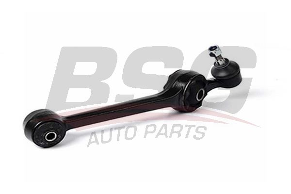 BSG 30310069 Rotilli Kol Sol